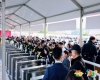 全解攻略！2026南京秋季糖酒会白酒优势展位抢占流程与规范